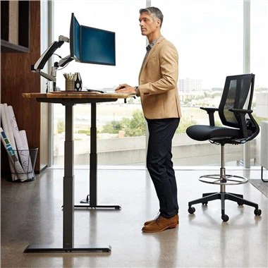 Electric Adjustable Desk