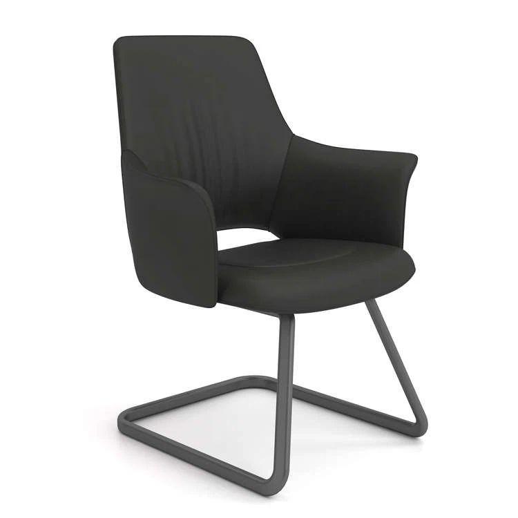 Leather Visitor Chair