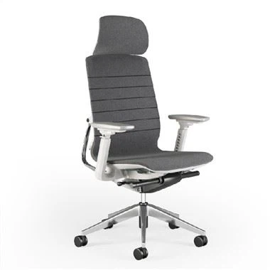 Ergonomic Chair With 4D Lifting Armrest