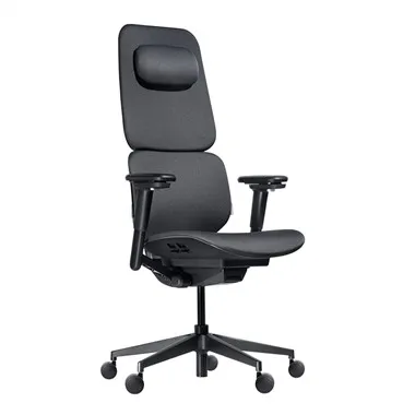 Executive Office Chair