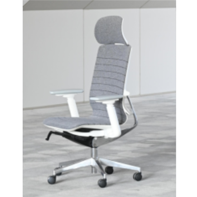 Best Ergonomic Office Chair